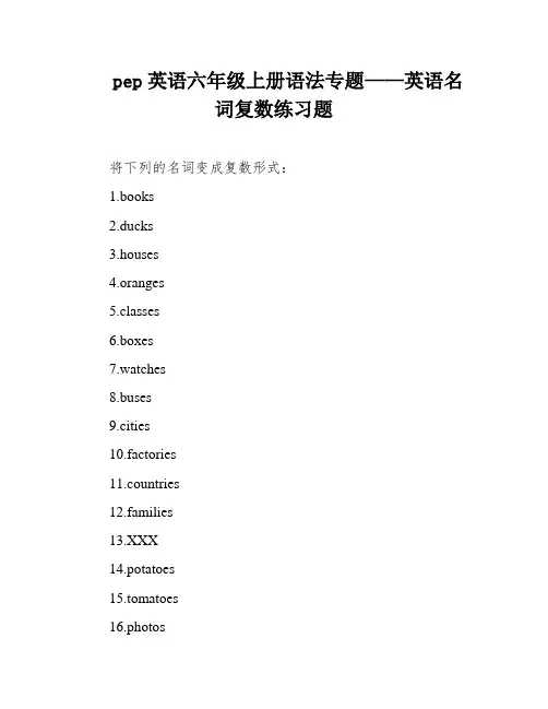 pep英语六年级上册语法专题——英语名词复数练习题