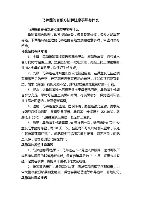 马蹄莲的养殖方法和注意事项有什么