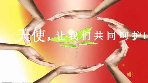 班主任论坛经验交流ppt课件