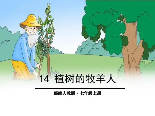 七年级语文上册第13课《植树的牧羊人》课件