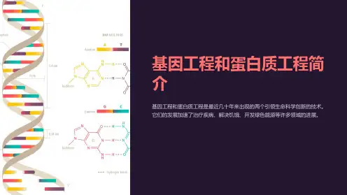 基因工程和蛋白质工程简介