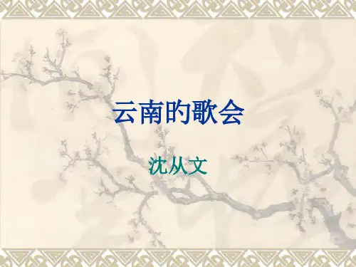 云南的歌会获奖课件
