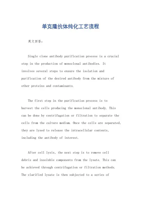单克隆抗体纯化工艺流程