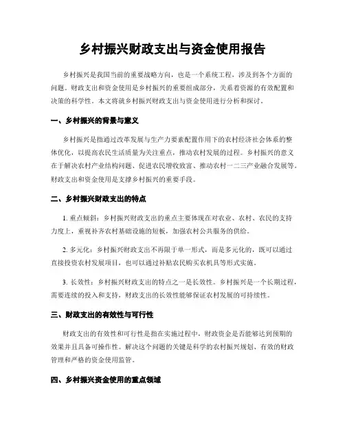 乡村振兴财政支出与资金使用报告