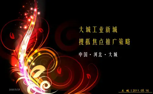 大城工业新城搜狐焦点产业新区推广方案PPT课件
