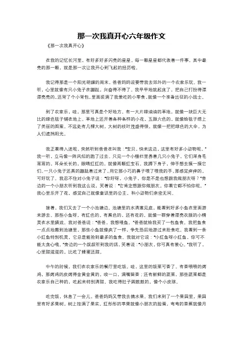 那一次我真开心六年级作文