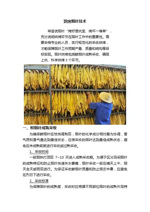 烘烤烟叶技术
