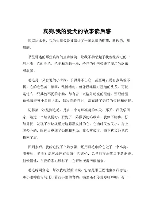 宾狗,我的爱犬的故事读后感