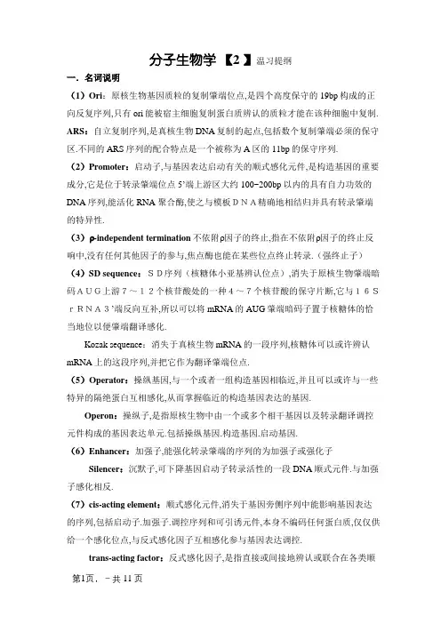 分子生物学期末考试题目及答案