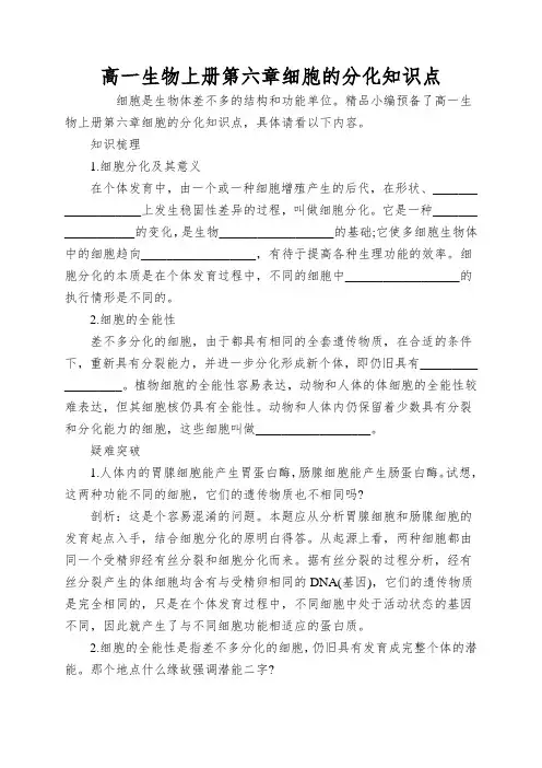 高一生物上册第六章细胞的分化知识点