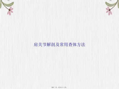 肩关节解剖及常用查体方法2讲课文档