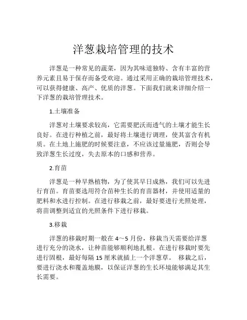 洋葱栽培管理的技术