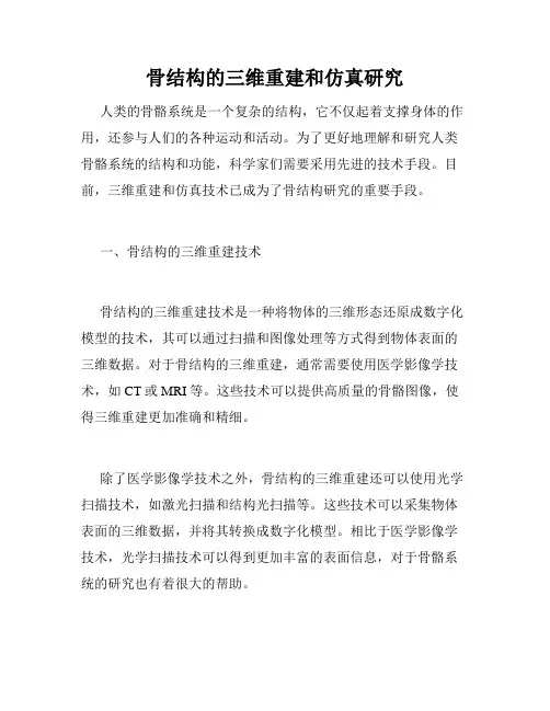 骨结构的三维重建和仿真研究