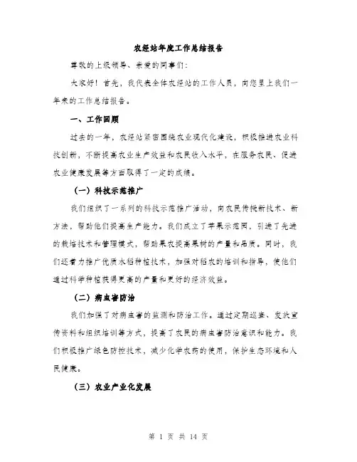 农经站年度工作总结报告（五篇）