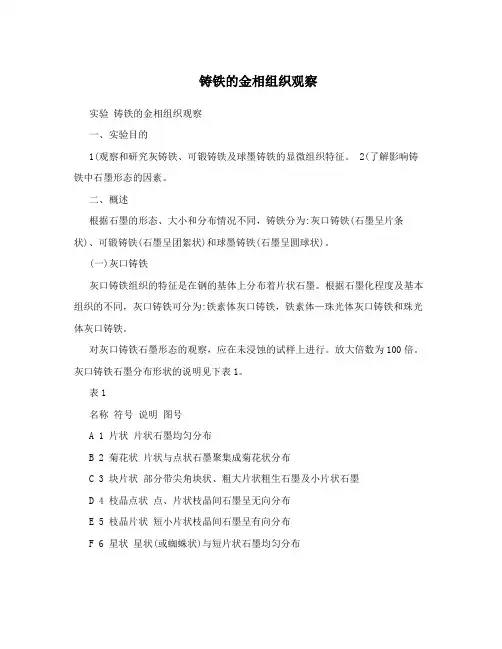 铸铁的金相组织观察