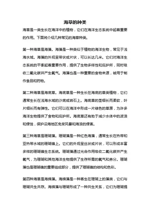 海草的种类