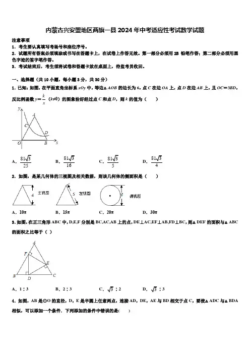 内蒙古兴安盟地区两旗一县2024届中考适应性考试数学试题含解析