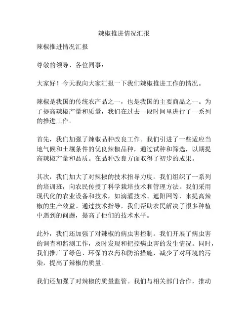辣椒推进情况汇报