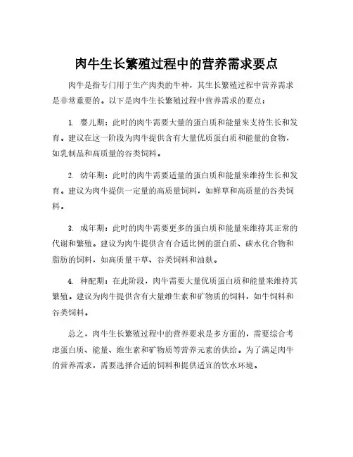 肉牛生长繁殖过程中的营养需求要点