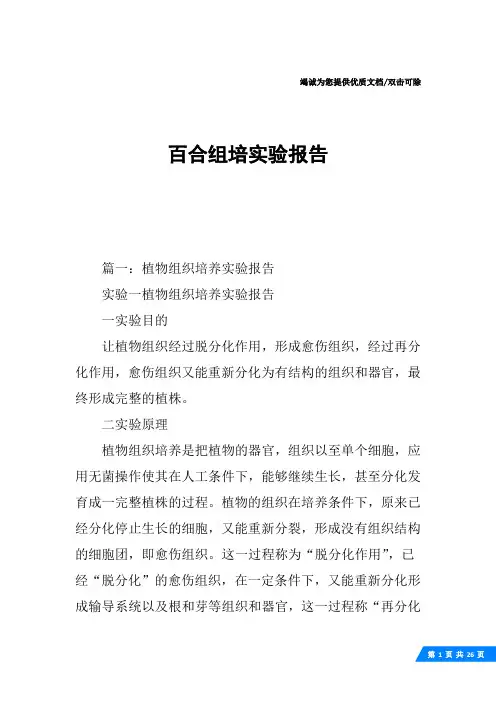 百合组培实验报告