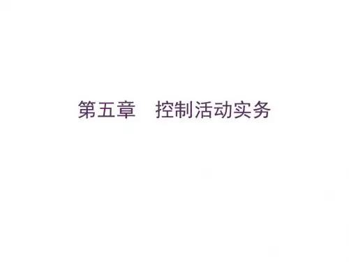 内部控制实务与案例第五章  控制活动