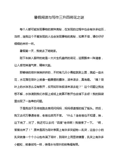 暑假阅读与写作三升四荷花之谜