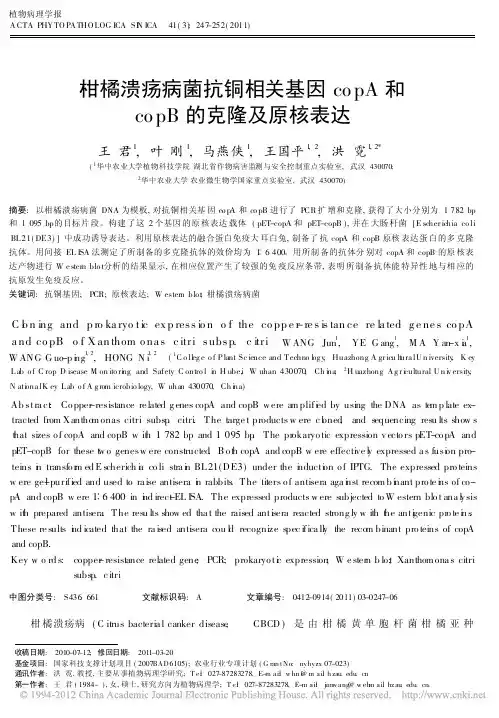 柑橘溃疡病菌抗铜相关基因copA和copB的克隆及原核表达