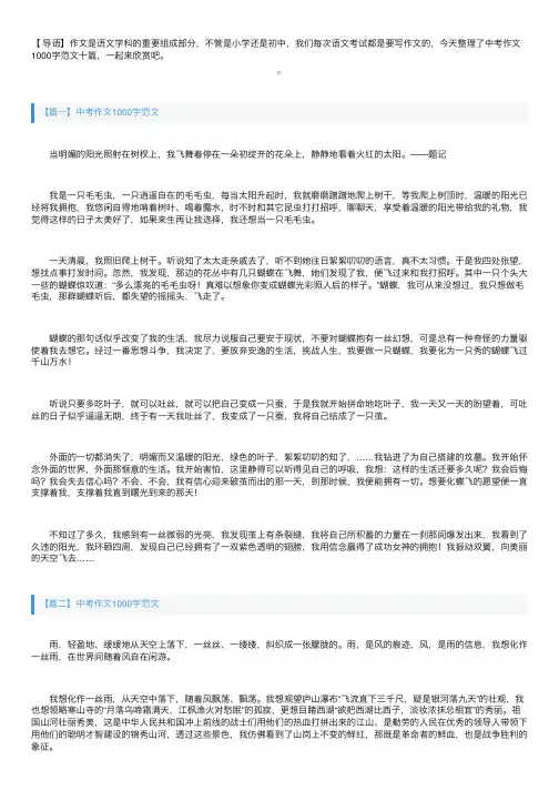中考作文1000字范文十篇