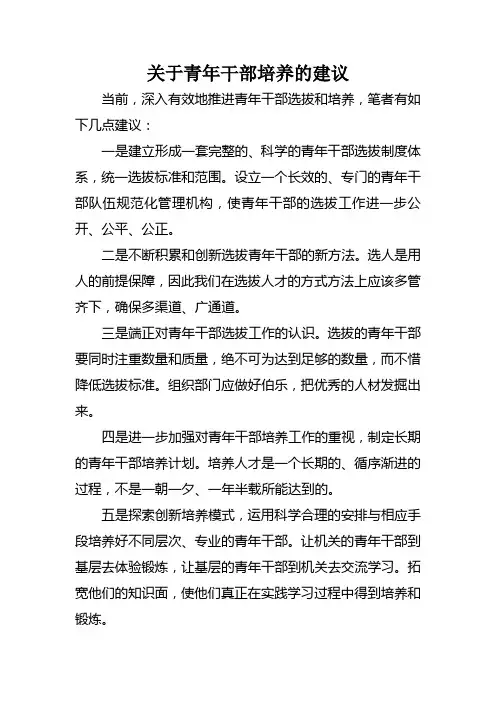 关于青年干部培养的建议