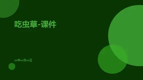 吃虫草-课件