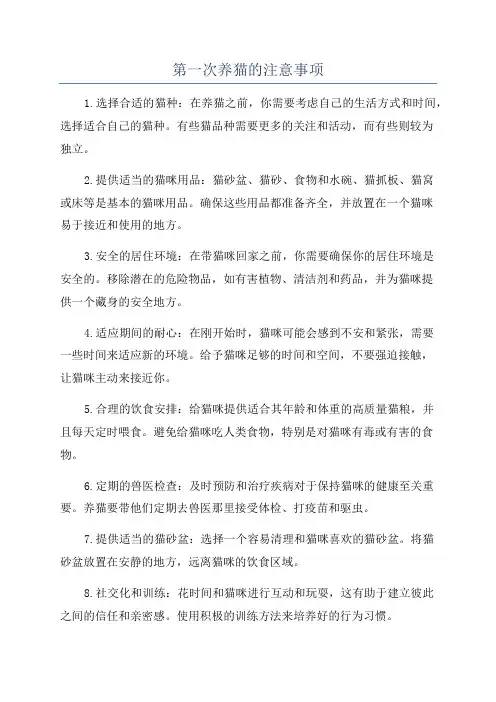第一次养猫的注意事项