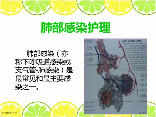 肺部感染的护理
