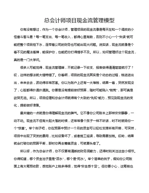 总会计师项目现金流管理模型