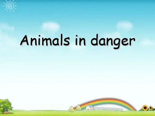 《Animals in danger》-优质精选PPT