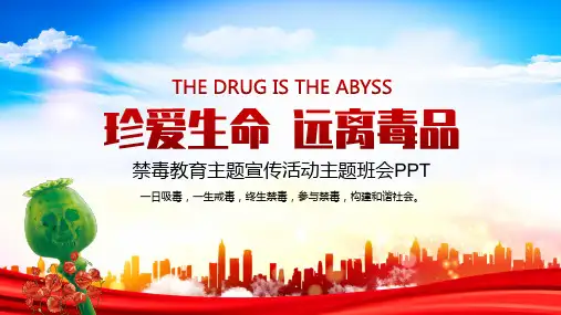 禁毒教育主题宣传活动主题班会PPT课件(带内容)