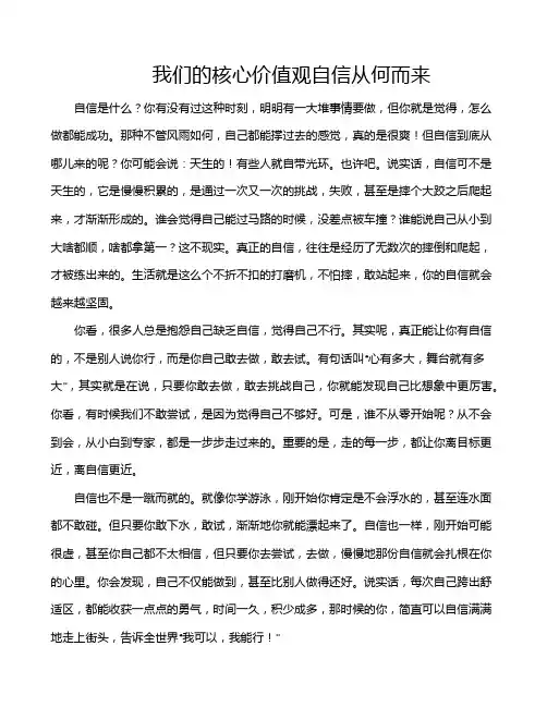我们的核心价值观自信从何而来
