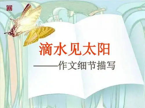 滴水见太阳——人物细节描写ppt