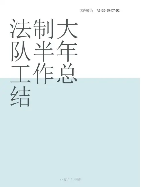 汇总法制大队半年工作总结