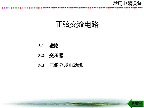 电工与电子技术课件：常用电器设备
