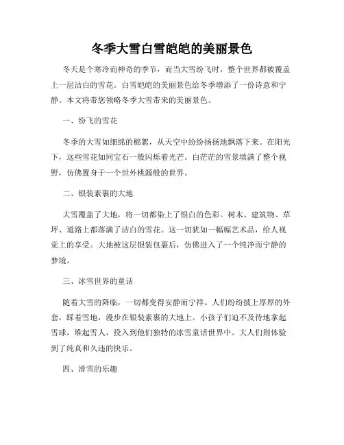 冬季大雪白雪皑皑的美丽景色