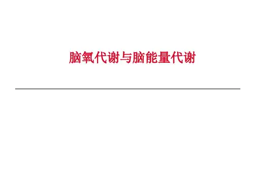 脑氧代谢和脑能量代谢