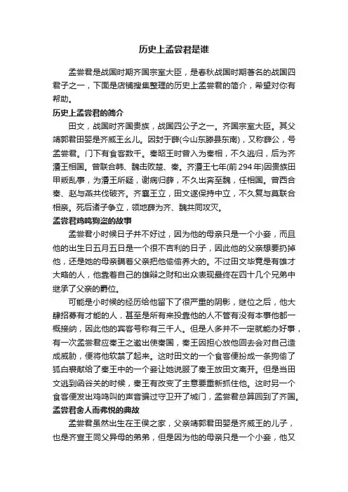 历史上孟尝君是谁