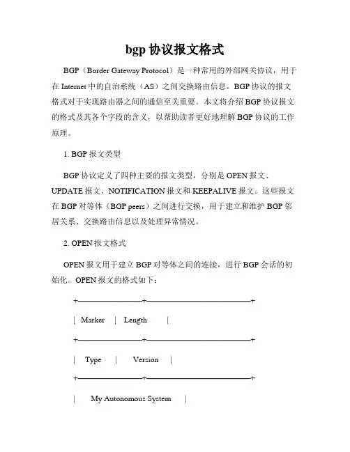 bgp协议报文格式