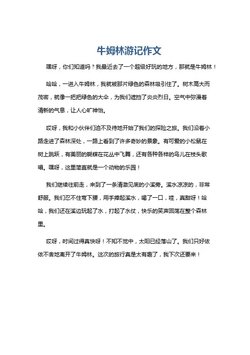 牛姆林游记作文