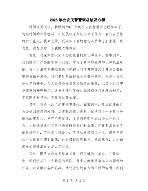 2023年公安民警警训总结及心得