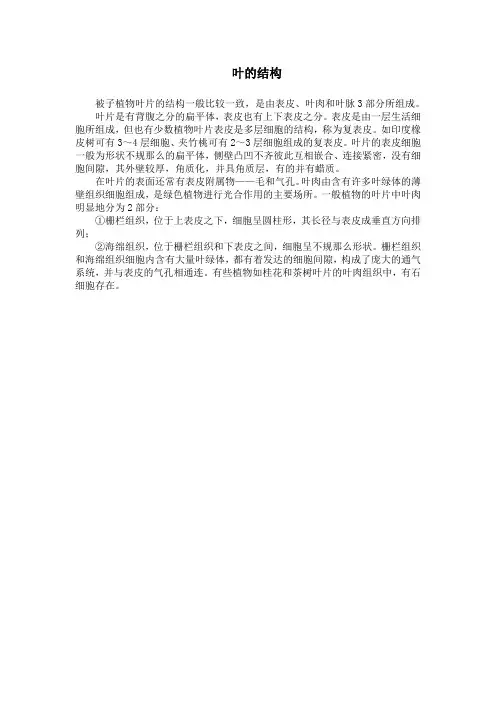 叶的结构