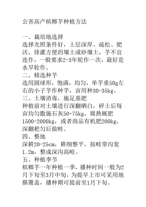 公害高产槟榔芋种植方法