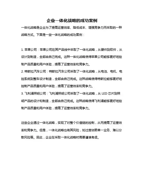 企业一体化战略的成功案例