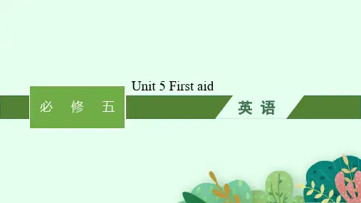 人教版高考英语一轮总复习 必修五 教材知识复习 Unit 5First aid