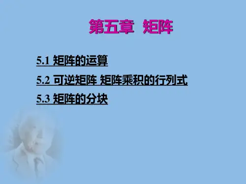《高等代数》矩阵